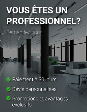 remise professionnel